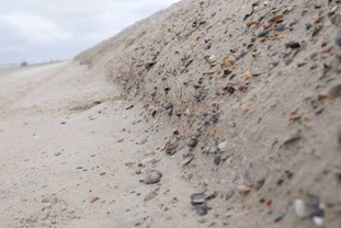 2019-Langeoog-Sandstrand-Muscheln.jpg