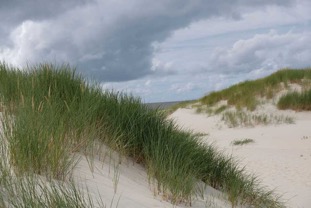 2019-Langeoog-Sicht-von-Bucht-auf-Meer.jpg