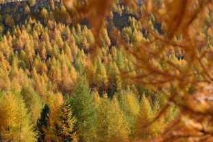 2022-Farbenfroh-Herbst.jpg